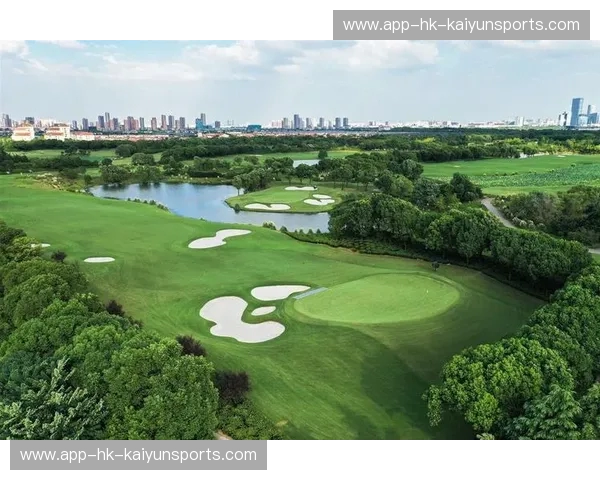 开云体育球场草皮：引领新时代的草坪革新